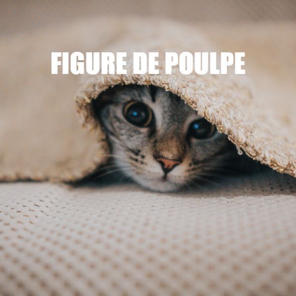 Dites le avec des chatons par paul loublier. Générateur d'image décalées.